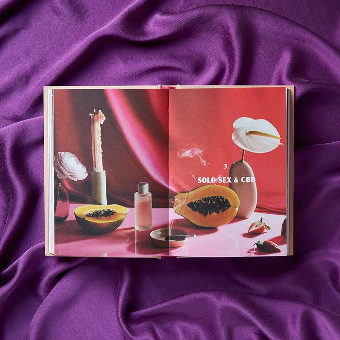 Chronicle Books Female Sex Toys The CBD Solution Sex